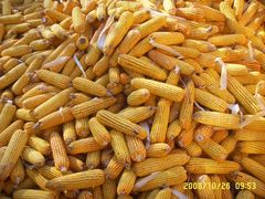 -柳沟豆腐宴69号福豆堂