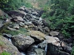 -花岩国家森林公园