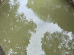 -荔湾湖公园