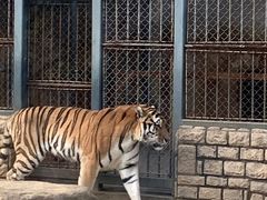 -上方山森林动物世界