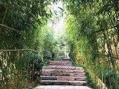 -竹子庵公园