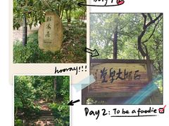 -九曜山