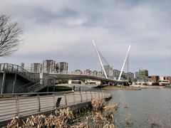 -映月湖中央公园