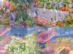 -上海滨江森林公园