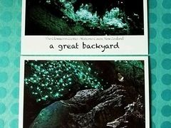 -怀托摩萤火虫洞