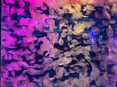 -多彩贵州城极地海洋世界