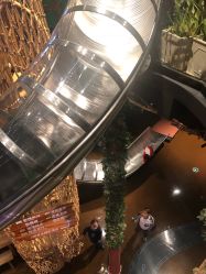 -奇幻丛林(佛罗伦萨小镇店)