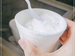 -洪馨椰子