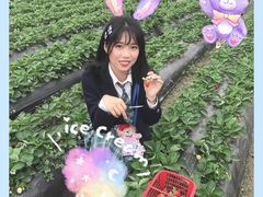 -广东茂名森林公园