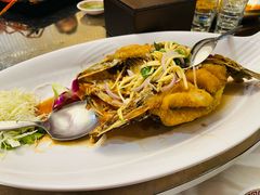 -光海鲜鱼翅餐厅(叻差拉披色路店)