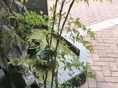 -溪畔•新徽菜(碧湖云溪店)