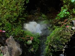 -域SPA·足疗·按摩·养生(静安寺店)