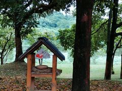 -福建鲤鱼洲酒店