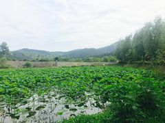 -石塘人家