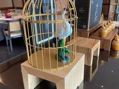 -三迪希尔顿酒店·星空酒廊