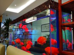 -原鄉本味 楚菜 丹江口鱼(北苑店)