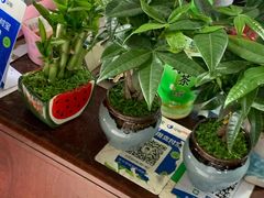 -循礼门鲜花花市(武汉循礼门店)