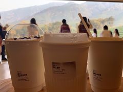 -白茶原·一片叶子