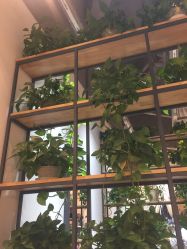 点击看大图 -曼都发型·臻选