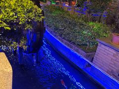 -顺德了能馆(虎门店)