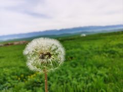 -新疆那拉提国家旅游度假区