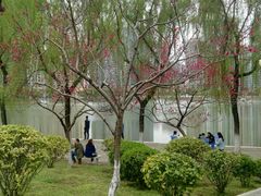 -西北湖绿化广场