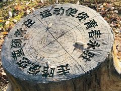 -菊花台公园