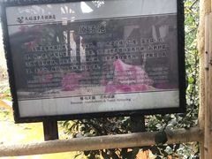 -天赐温泉