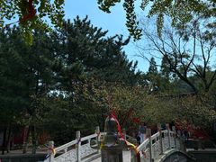 -石岛赤山风景区