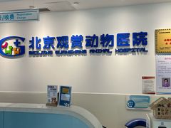 -北京观赏动物医院·24小时大型综合·猫专科·异宠专科