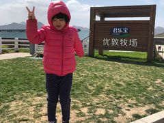 -君乐宝优致牧场