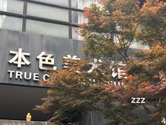 -苏州本色美术馆