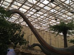 -国家自然博物馆