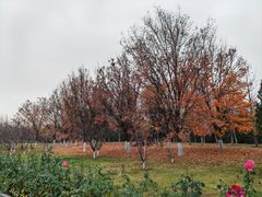 -北京园博大酒店