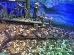 -酷嗒动物文化乐园(cutezoo西溪乐天城店)