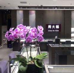 -周大福CHOW TAI FOOK(荟聚购物中心西红门店)