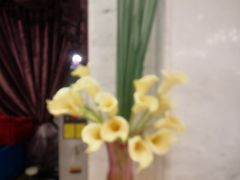 -金米箩大酒店(五角场店)
