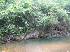 -湖州龙王山景区