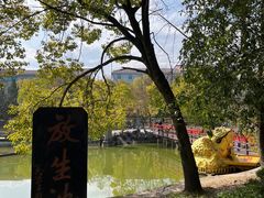 -大智禅寺-售票处