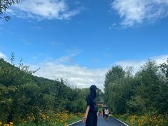 -参仙谷生态旅游度假区