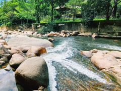-海南热带雨林国家公园吊罗山景区