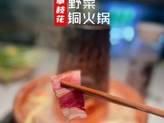 攀枝花盐边火腿-攀枝花野菜铜火锅(万科凯德店)