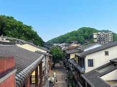 -南山植物园