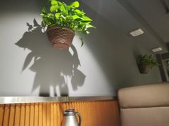 -友黔蛙(吉大店)