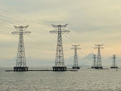 -宝安西湾红树林湿地公园