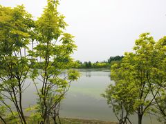 -东郊湿地公园