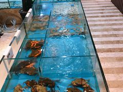 -菲乐餐厅(三十年经营·湖滨路店)