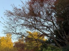 -杭州城北体育公园