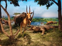 -国家自然博物馆