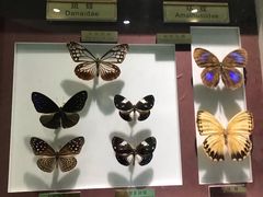 -上海昆虫博物馆